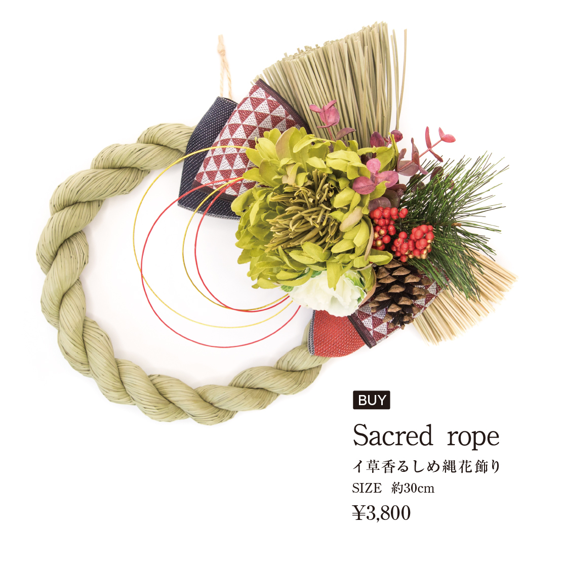 sacred rope photo